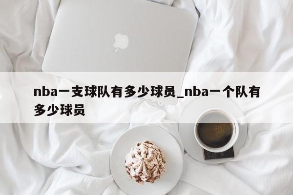 nba一支球队有多少球员_nba一个队有多少球员